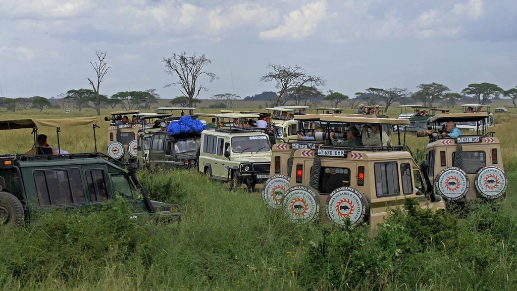 Why You Need A Uganda Safaris Tour Operator